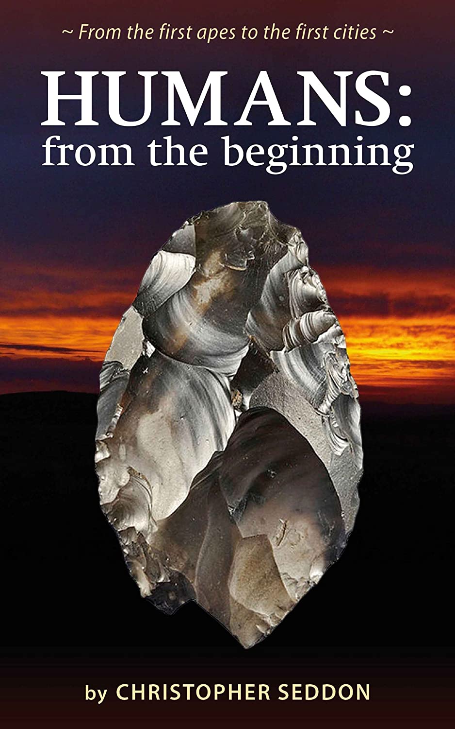 Humans: from the beginning