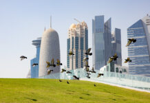 #3 Holubí domy Pigeons West Bay Qatar