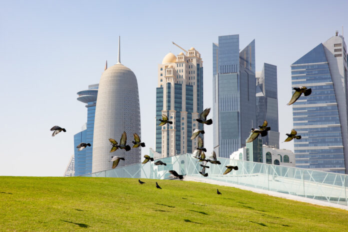 #3 Holubí domy Pigeons West Bay Qatar