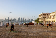 #18: Emírovy stáje Emírovy stáje v Doze