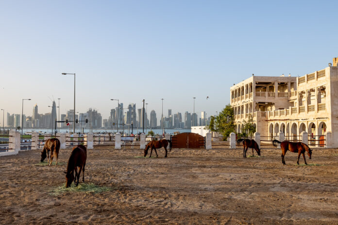 #18: Emírovy stáje Emírovy stáje v Doze