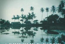 Andy Fletcher: A Dimdim in Paradise A Dimdim in Paradise