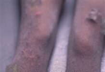 Petra Hůlová: Macocha Petra Hůlová Macocha