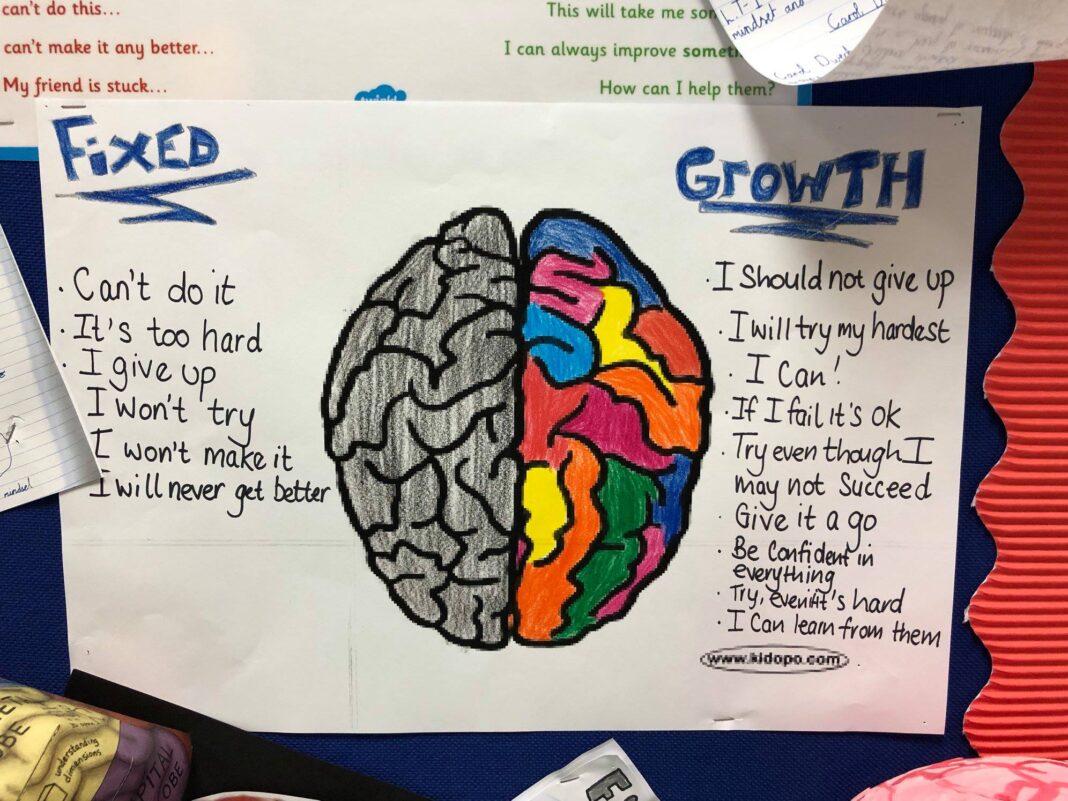 Fixed mindset growth mindset