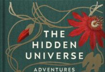 Antonelli, Alexandre: The Hidden Universe