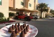 Vosí hnízda pro Araby Vosí hnízda Katar